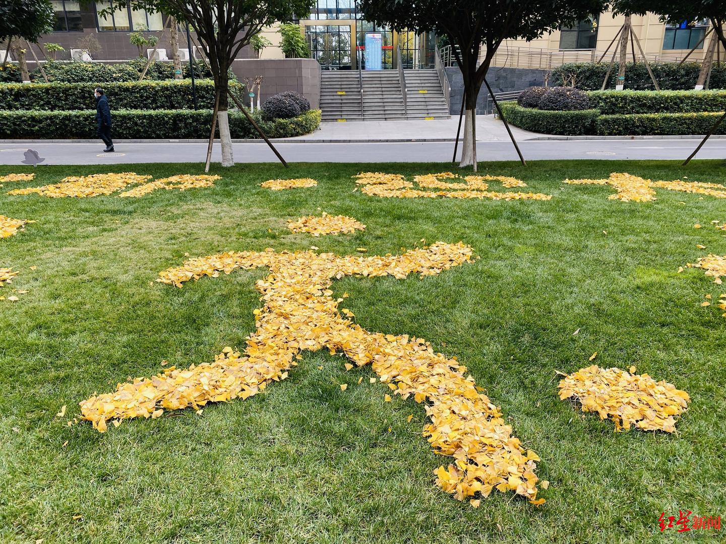 暖!成都银杏叶黄了 物业人员摆出花式造型为成都打call