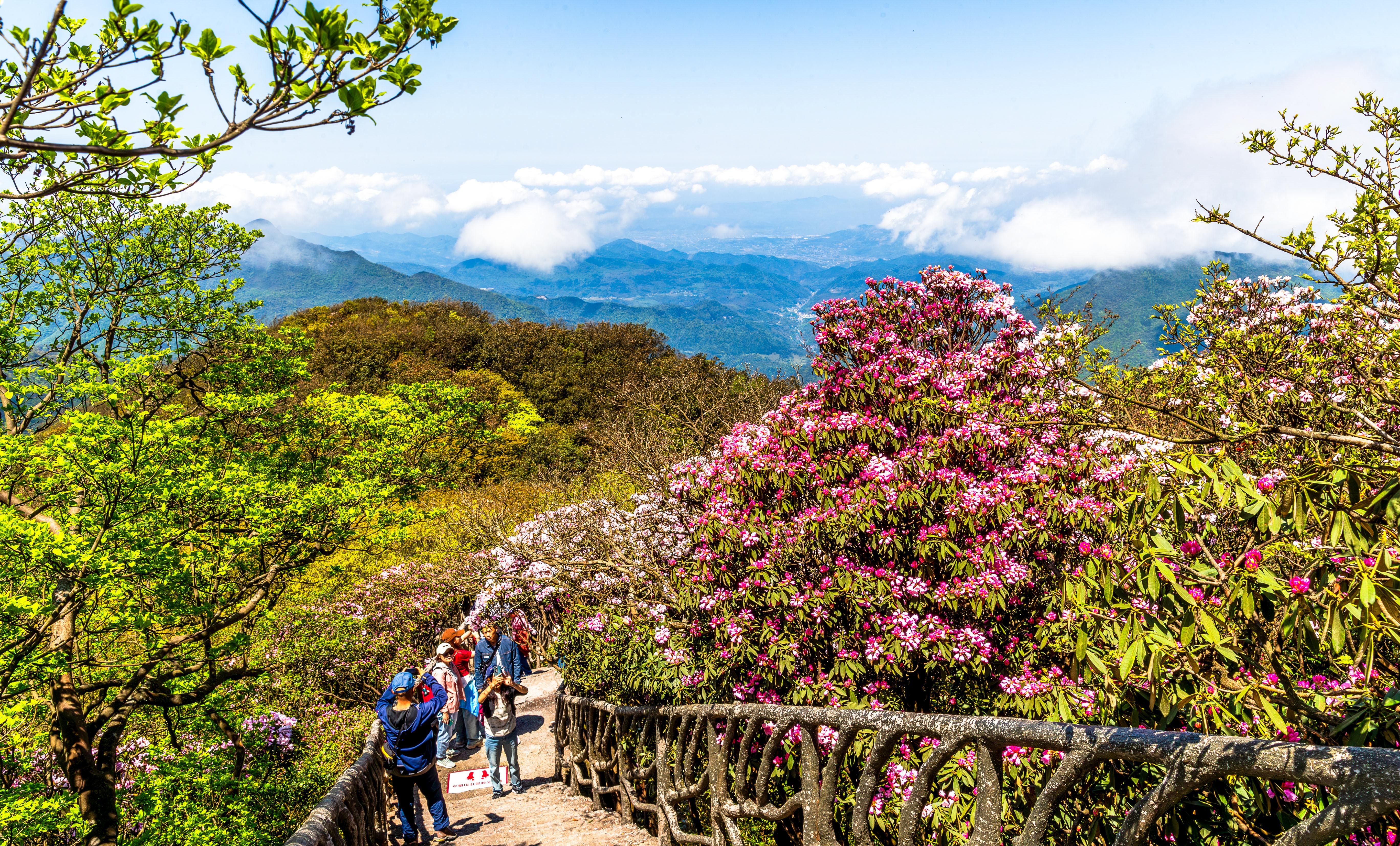 南川金佛山温泉价格表图片