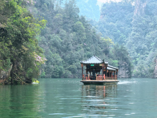 张家界宝峰湖迎来春游踏青小高峰