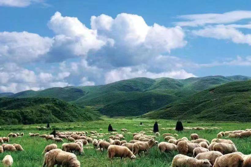 四川凉山昭觉谷克德高山云地获"四川省体育旅游示范基地"称号