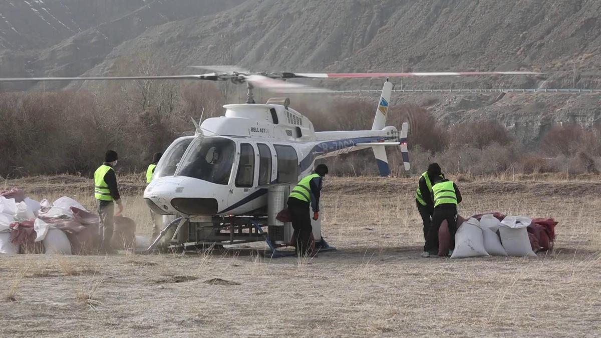 新疆库车:直升机飞播作业助力10万亩退化草原重焕生机