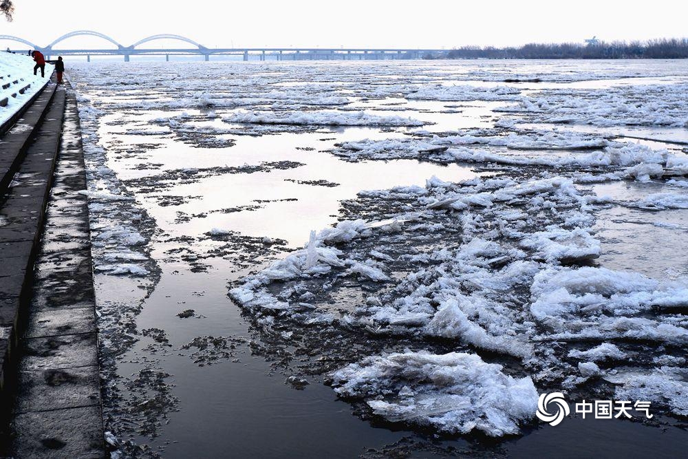 气温下降 松花江哈尔滨段出现"跑冰排"景观
