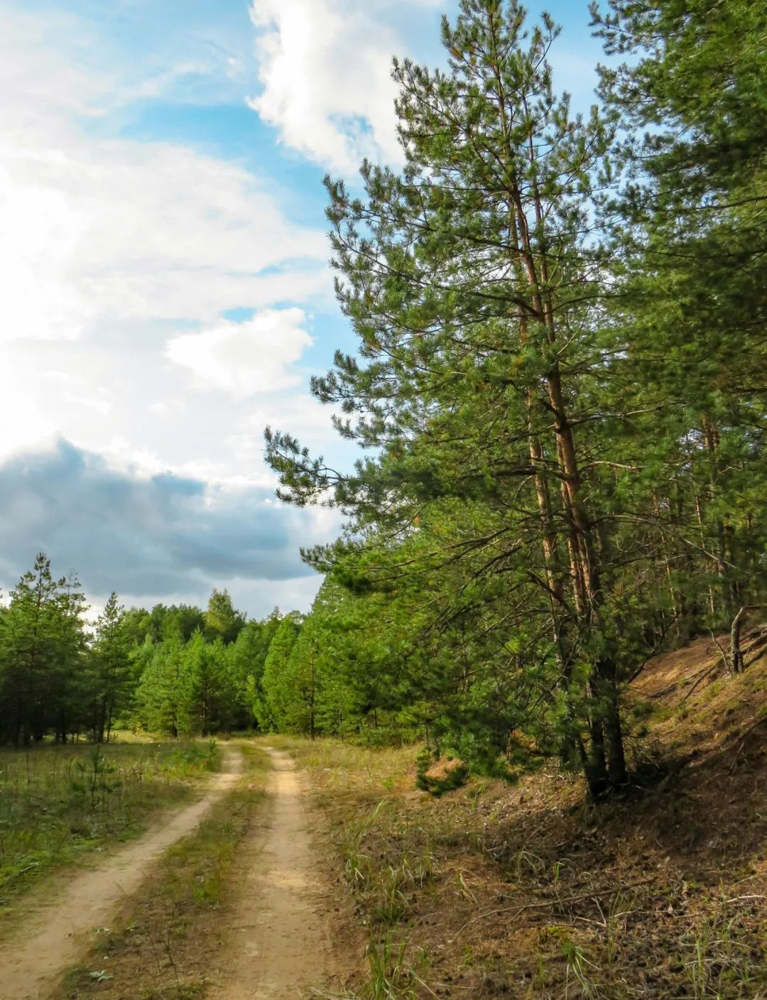 美少女天海翼写真全新发布引爆全网关注，高清美图引发粉丝疯狂转发，时尚造型展现独特魅力，幕后花絮曝光制作过程