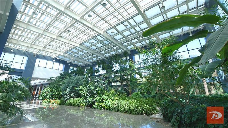 敦煌国际酒店开展"创建文明城 喜迎二十大" 园林绿化攻坚行动