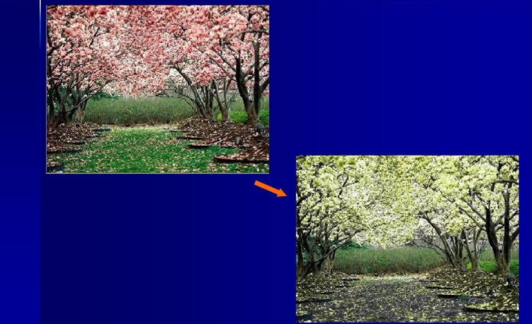 vga palette snoop是什么意思