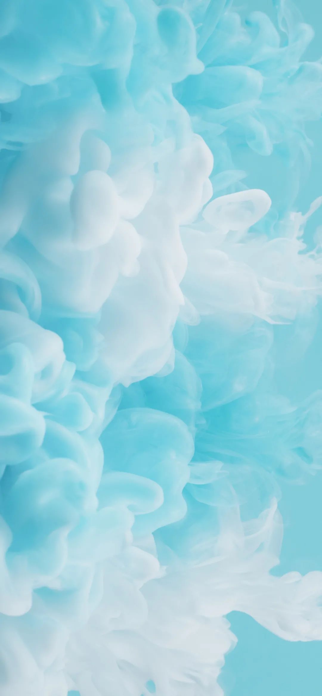 2121手机壁纸:九月,你好