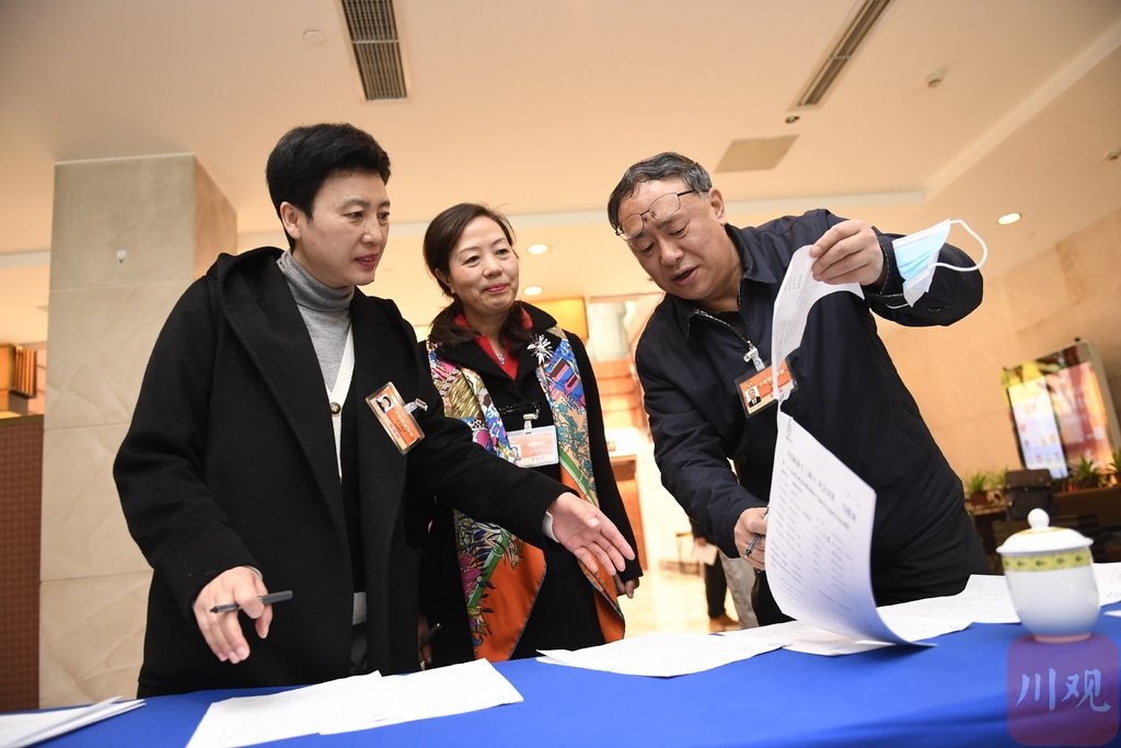 镜头直击:多央娜姆委员会内会外忙不停