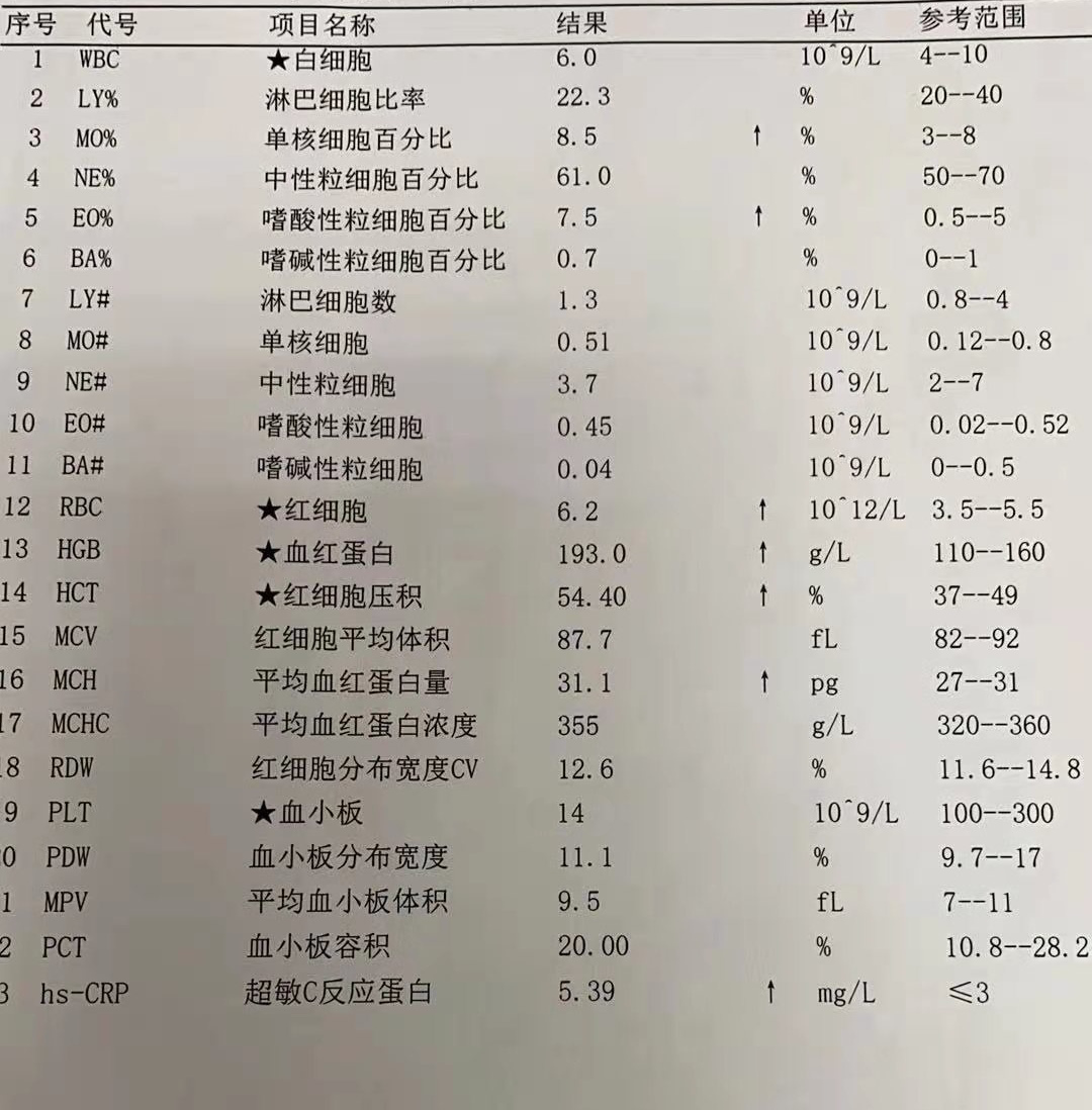 血小板低的化验单图片图片