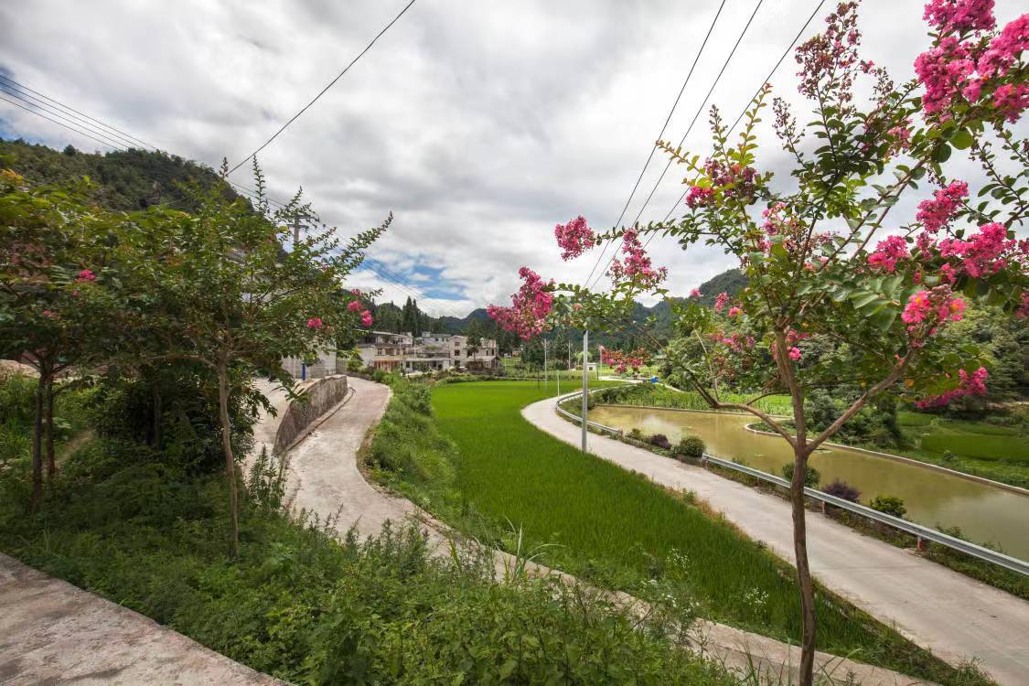 麻江县谷硐镇干塘村:"三个抓"扎实推进庭院美化落实落细