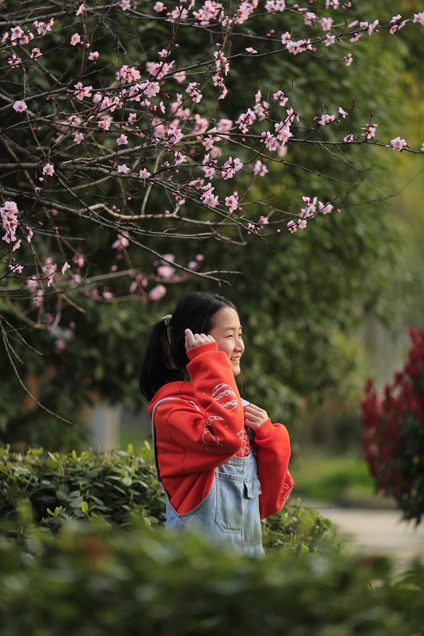 淮滨高级中学校花图片