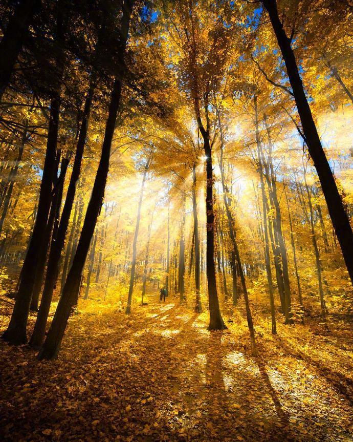 "藏阴于阳,藏内于外",人要亦智亦勇,如此才会令人捉摸不透