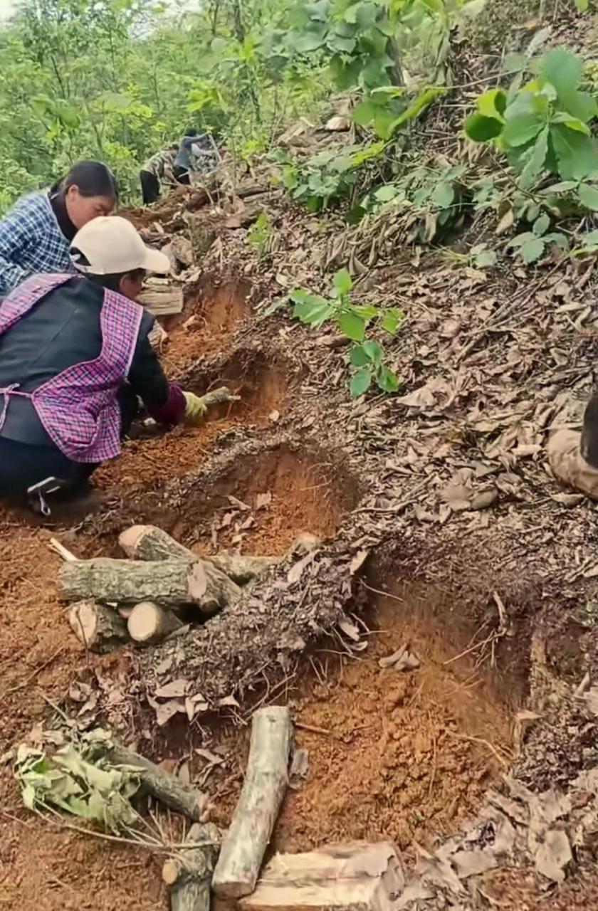 你们知道这是在干什么吗?