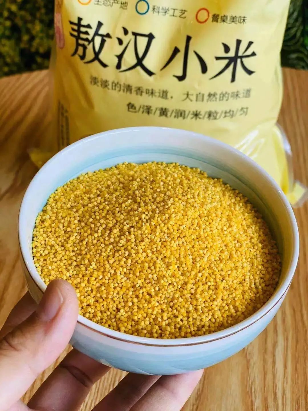 内蒙敖汉小米:满园米相似,唯我香不同,米油厚口感香,养胃又养人!