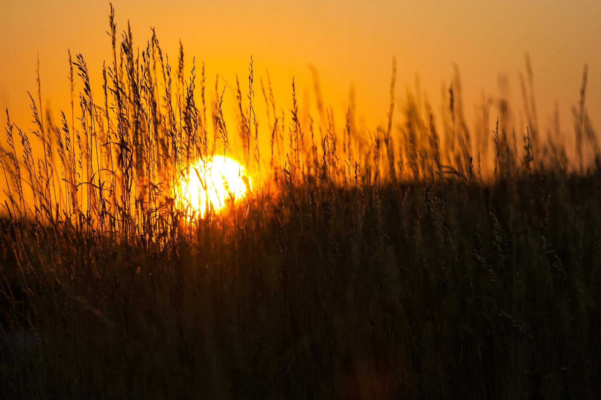 自我救赎,往往只需一瞬间