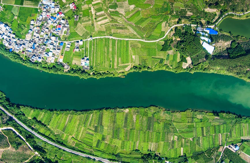 鹿寨县黄冕镇:三抓三促奏响乡村振兴"新乐章"