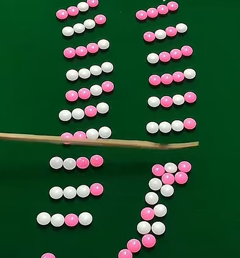 有没有不用加工玉米摊豆子摊纽扣摊的机器设备