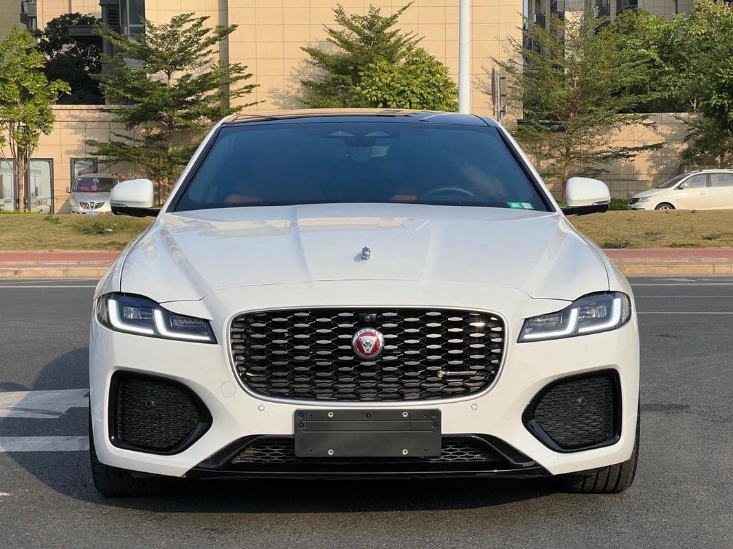 车标是豹子的车是什么车 车标有豹子是什么车