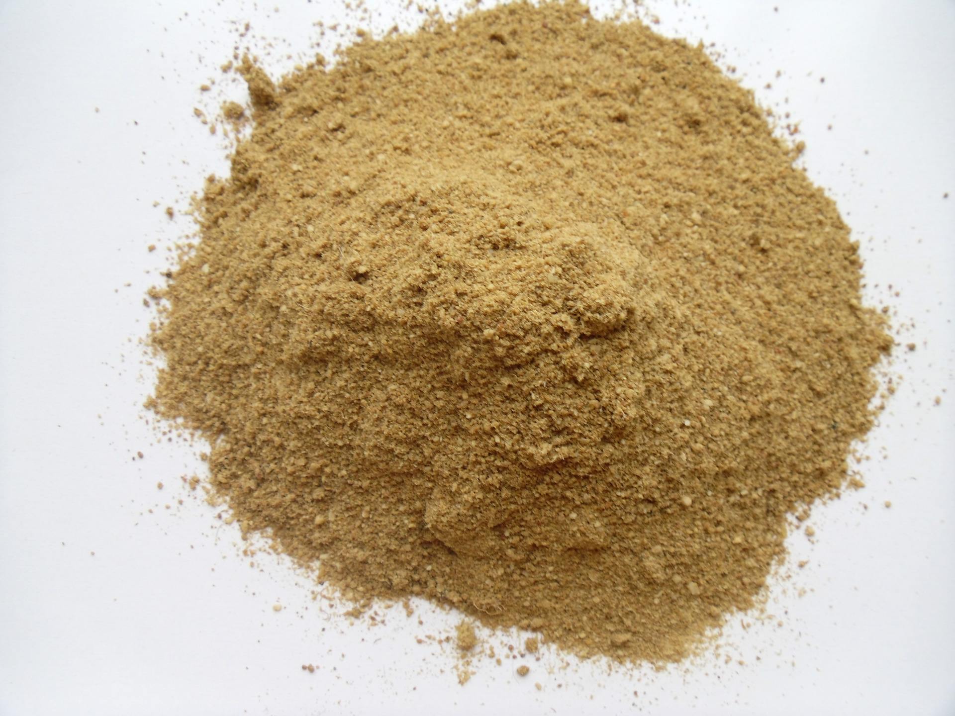 怎么进口肉骨粉?进口肉骨粉需要什么单证资质?