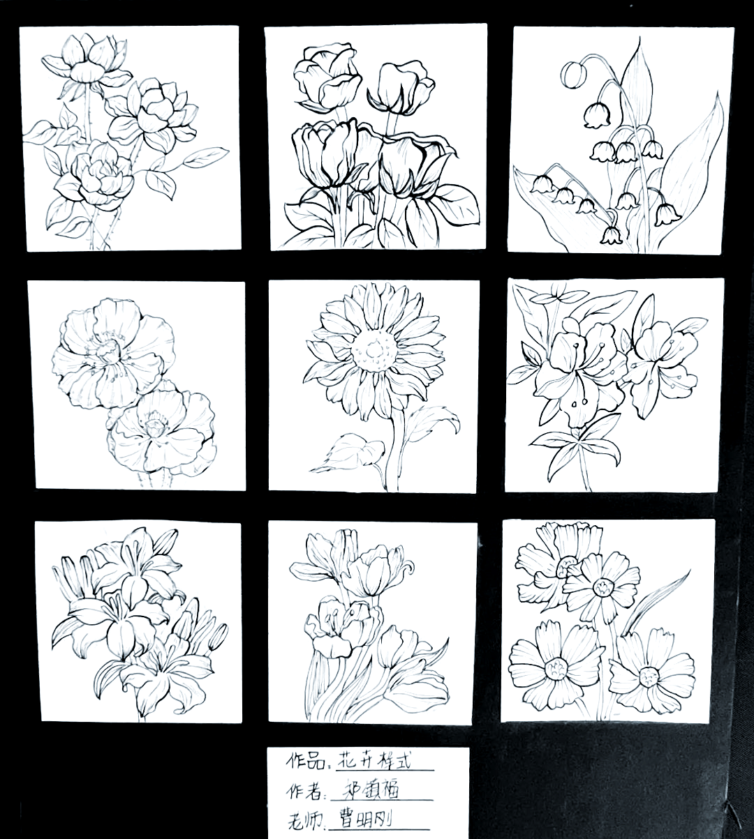 平面花卉构成作业欣赏