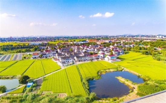 江阴市顾山镇:舒展乡村振兴斑斓画卷