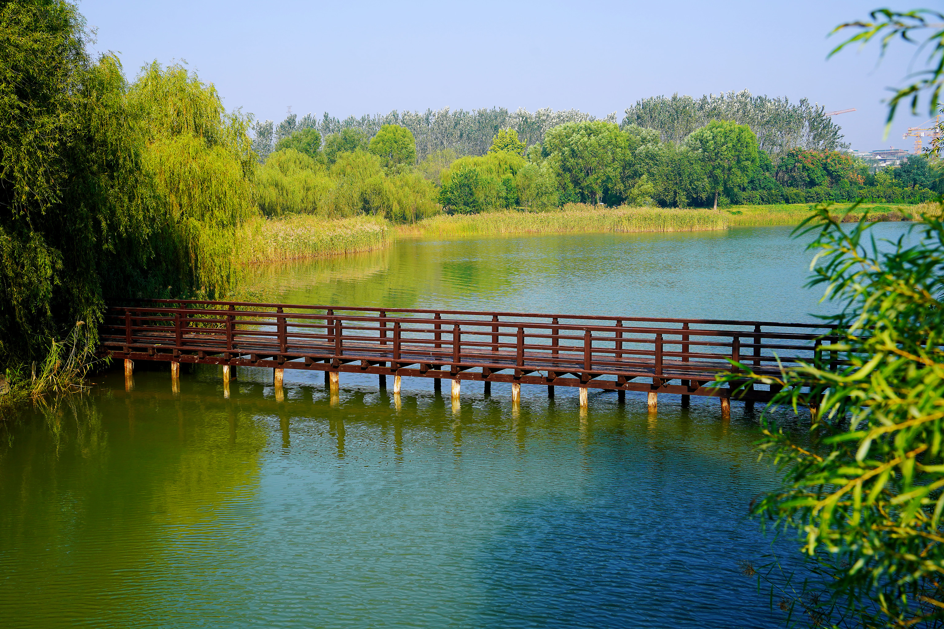 平阴县旅游景点图片