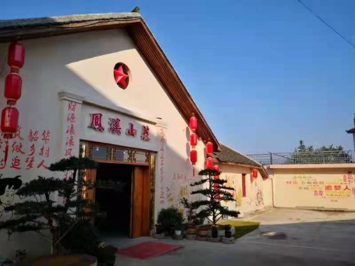 岩落坪上飞凤凰 美丽乡村入画来——湖南洞口县毓兰镇凤溪村生态农业