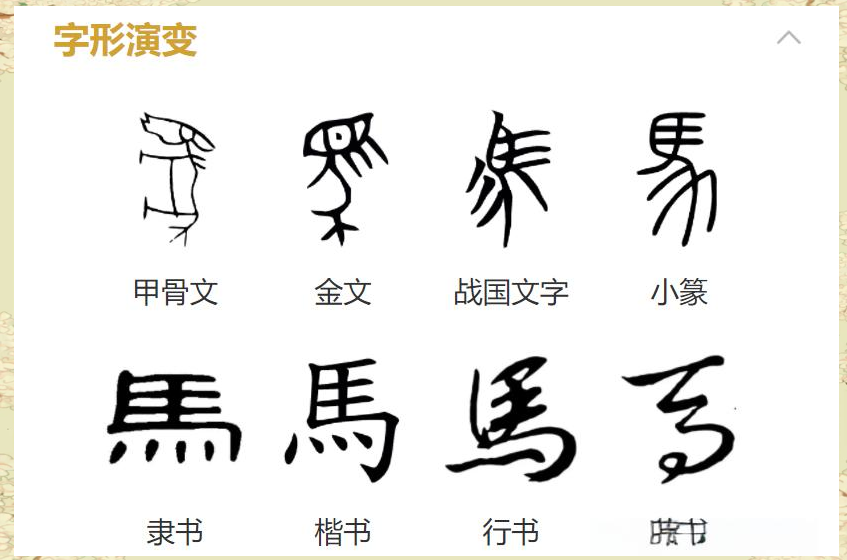 文生肖指的是什么生肖(文肖是哪几个生肖都有哪几个)