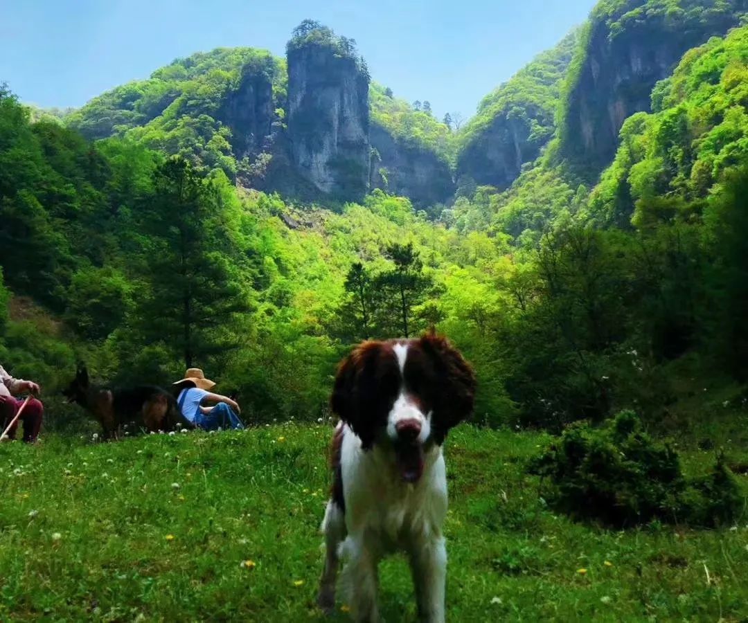 壶镇大龙门景区门票图片