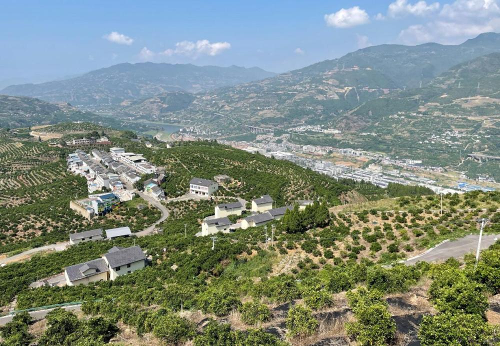 奉节县草堂镇欧营村:转型绿色发展,美丽,健康,富裕成新标签