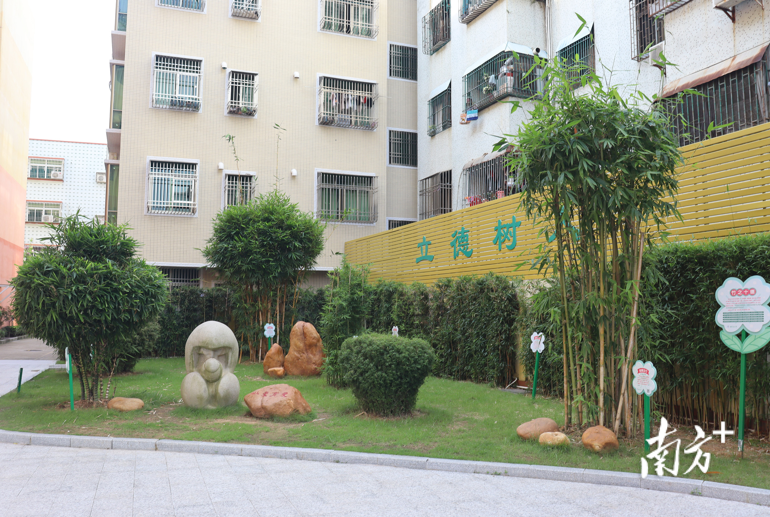 共筑绿美城区!汕尾市城区盐町头小学举行绿美宣传活动