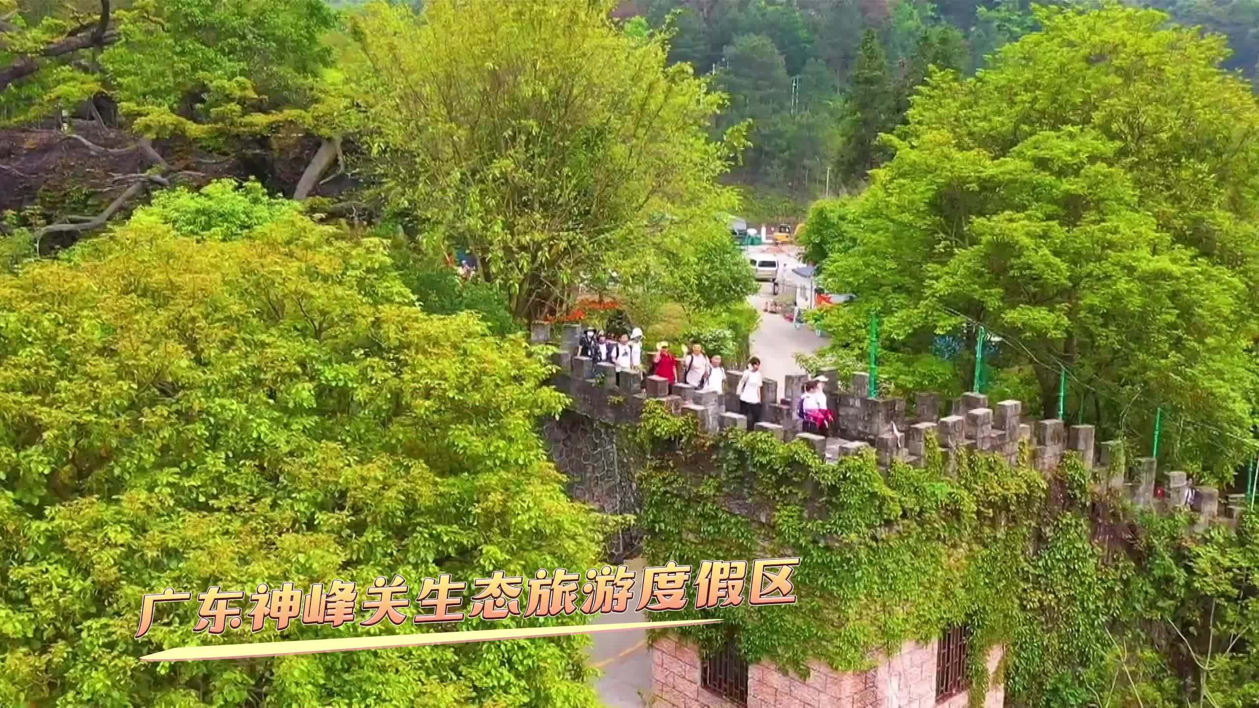 阳山什么景点值得玩图片