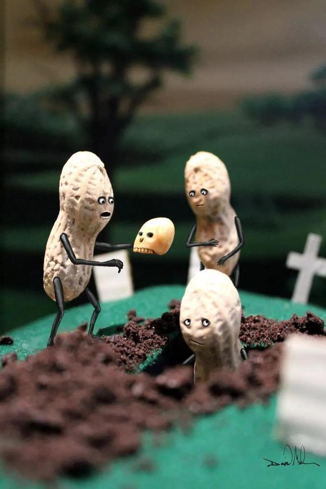 乡村农产品创意之玩转花生