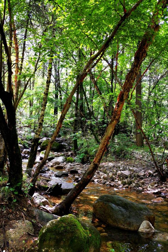 山西吕梁·交城庞泉沟