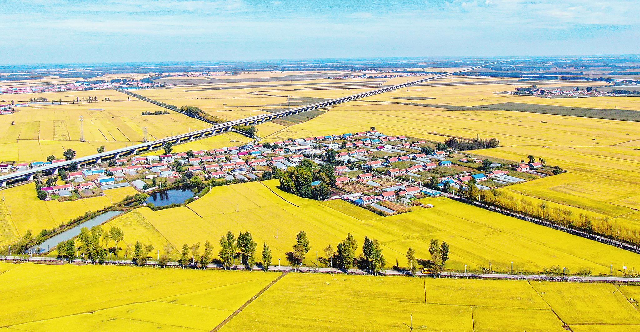 每日一戳:吉林德惠 菜园子