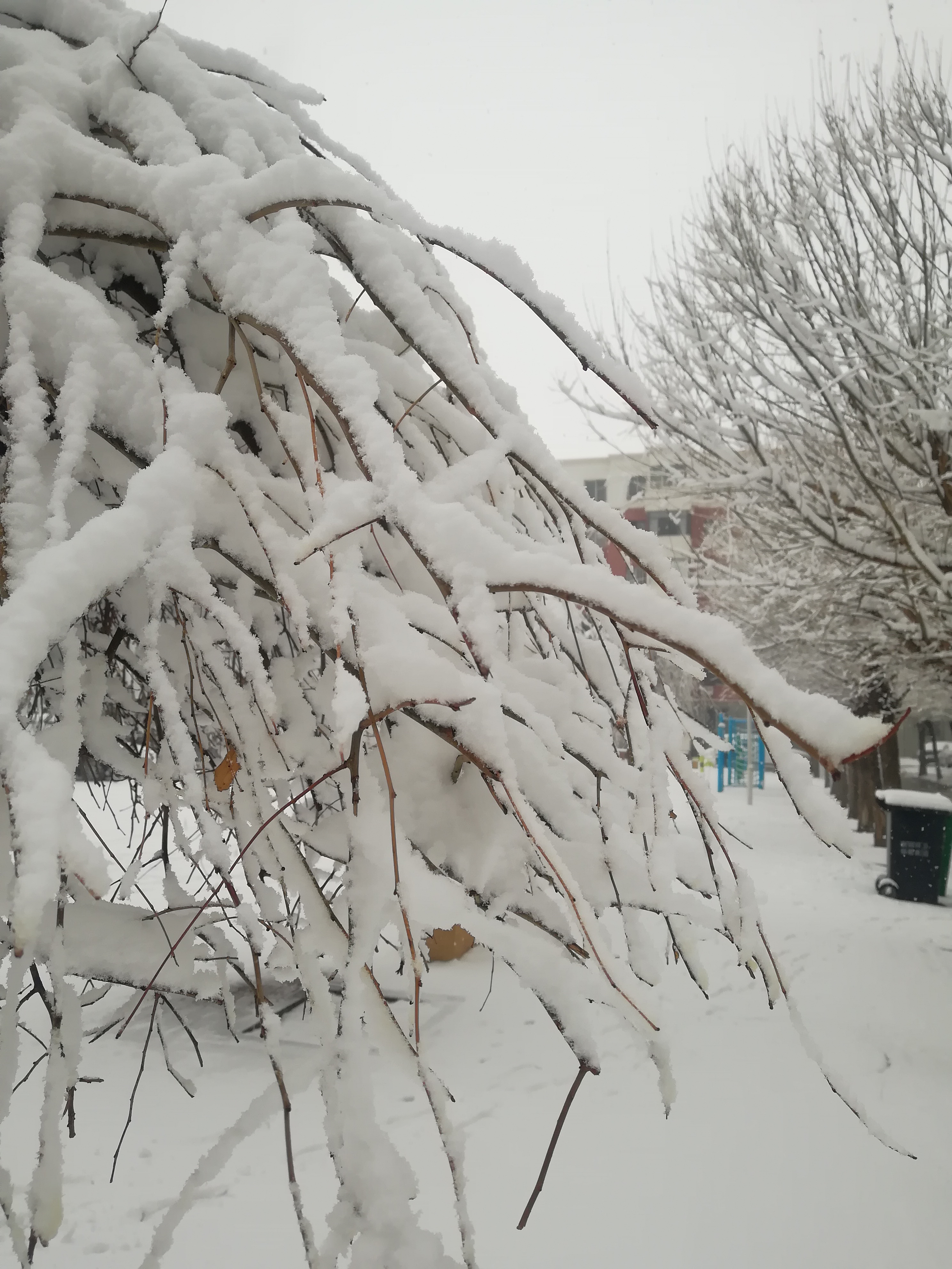 阜新雪景图片