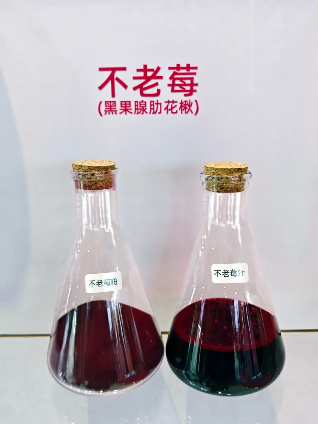02宾美墨鱼汁/粉采用现代生物技术精准脱腥