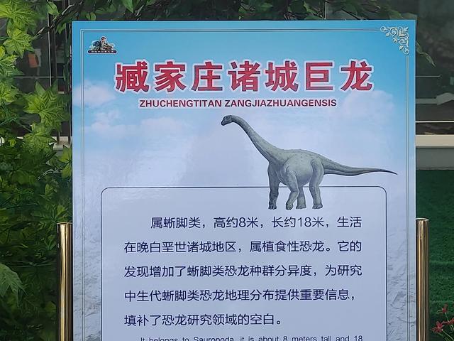 诸城中国暴龙馆