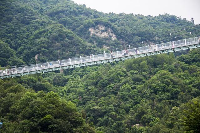 站在桥上,你可以俯瞰整个南丹山风景区的壮丽景色,感受大自然的震撼与