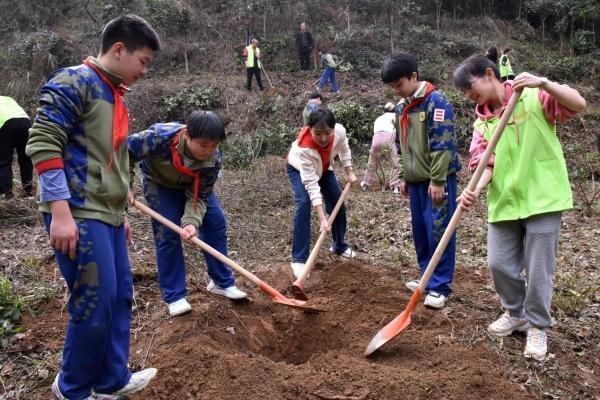 锦溪小学图片