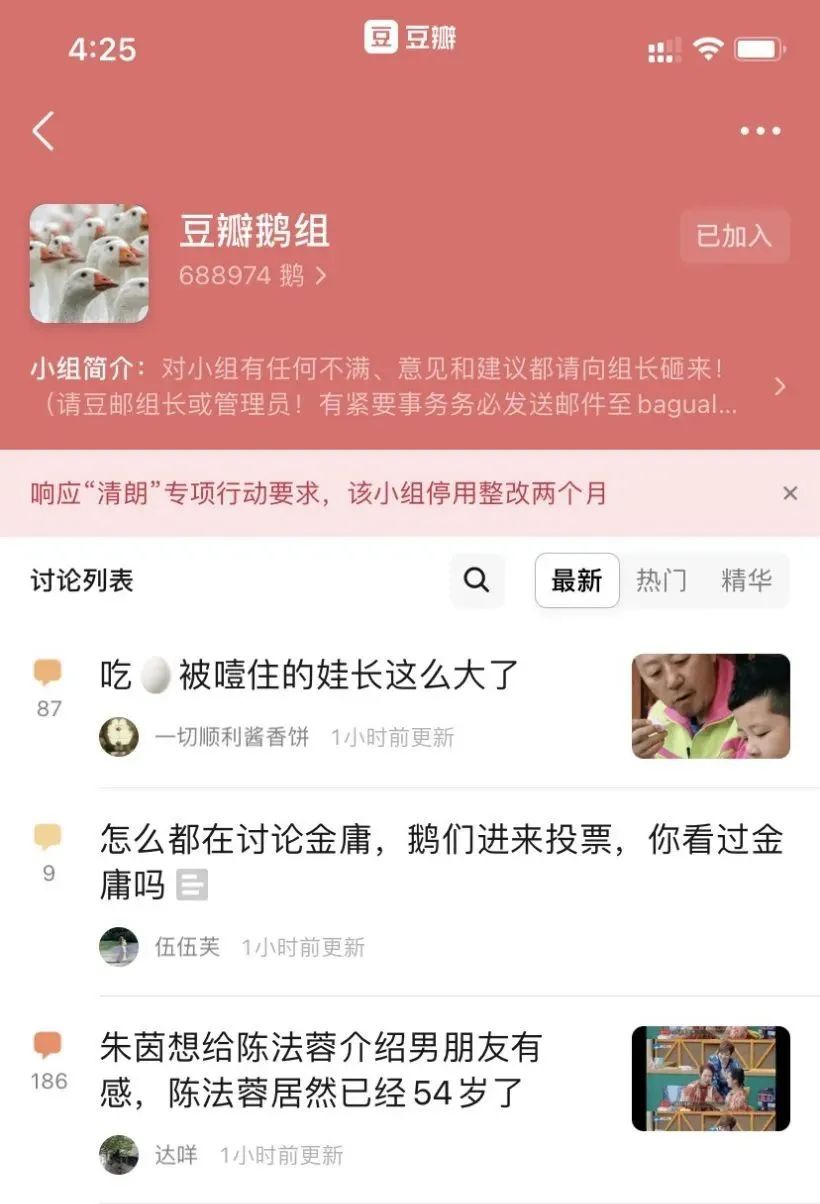 豆瓣鹅组图片