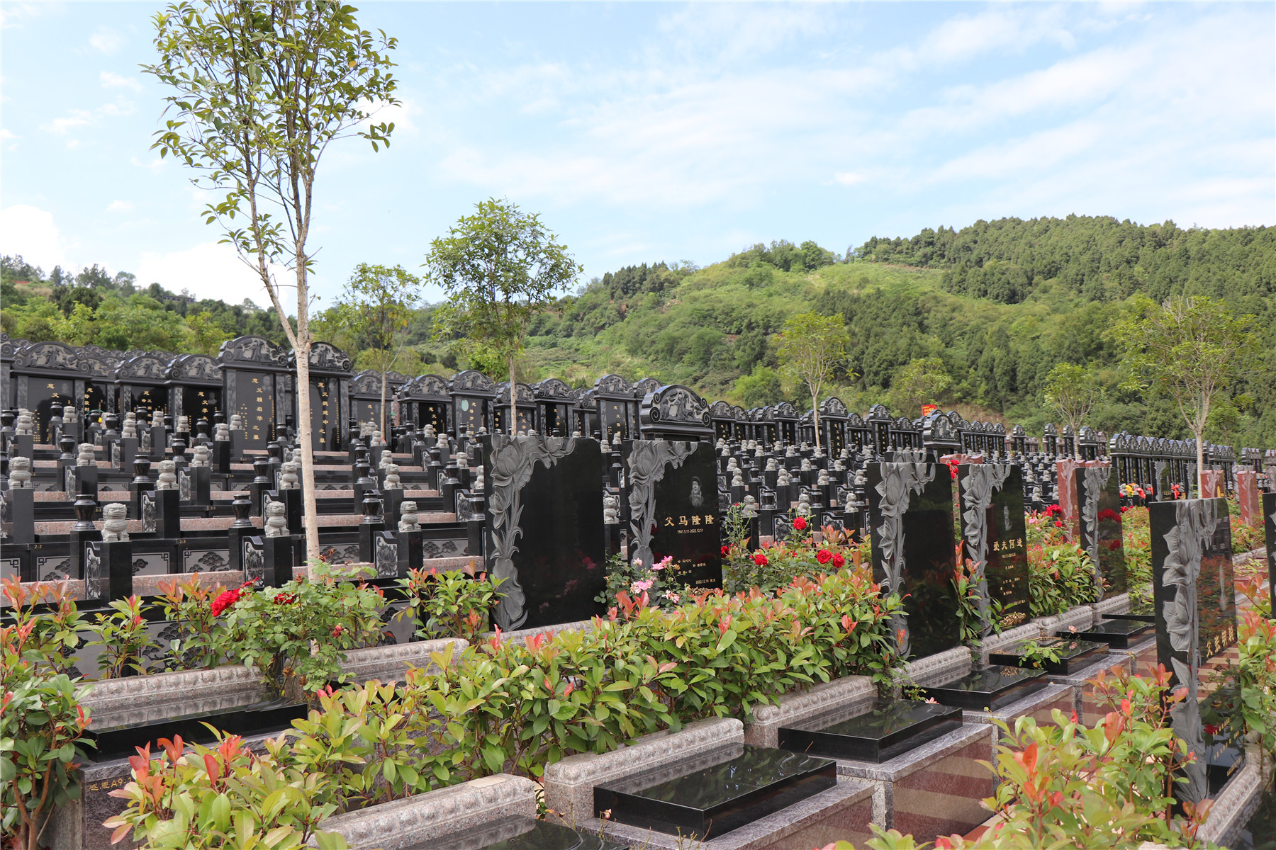 真武山憩园丨沉浸于温馨回忆的花园,走进这片永恒之地