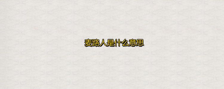 麦路人是什么意思,《麦路人》简介