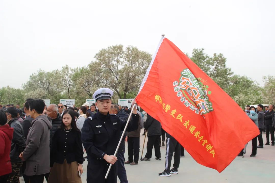 最美丽的花（最美的花季舞蹈动作分解） 第5张