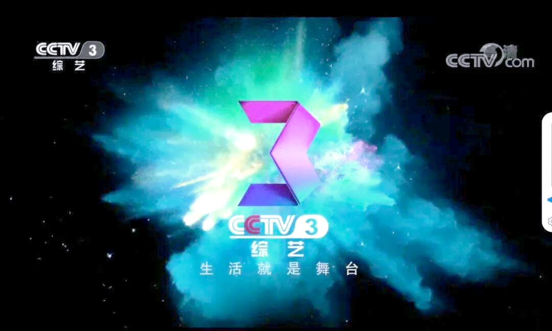 央视综艺频道是cctv几的简单介绍