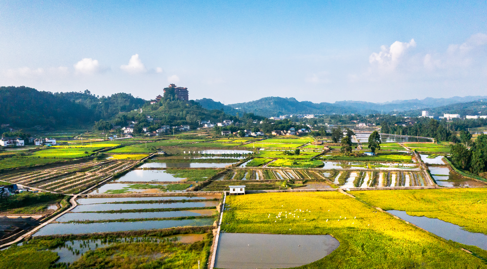 荣县长山镇:做好农旅融合文章 激活乡村振兴新引擎