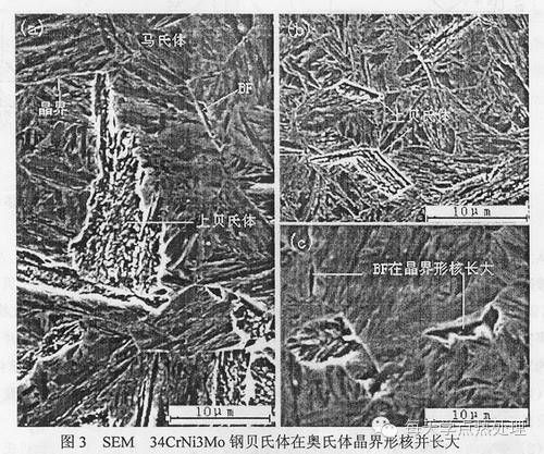 魏氏体与上贝氏体的判别