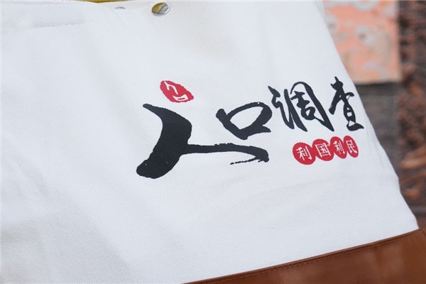 瑞丽市有序推进人口变动情况抽样调查工作