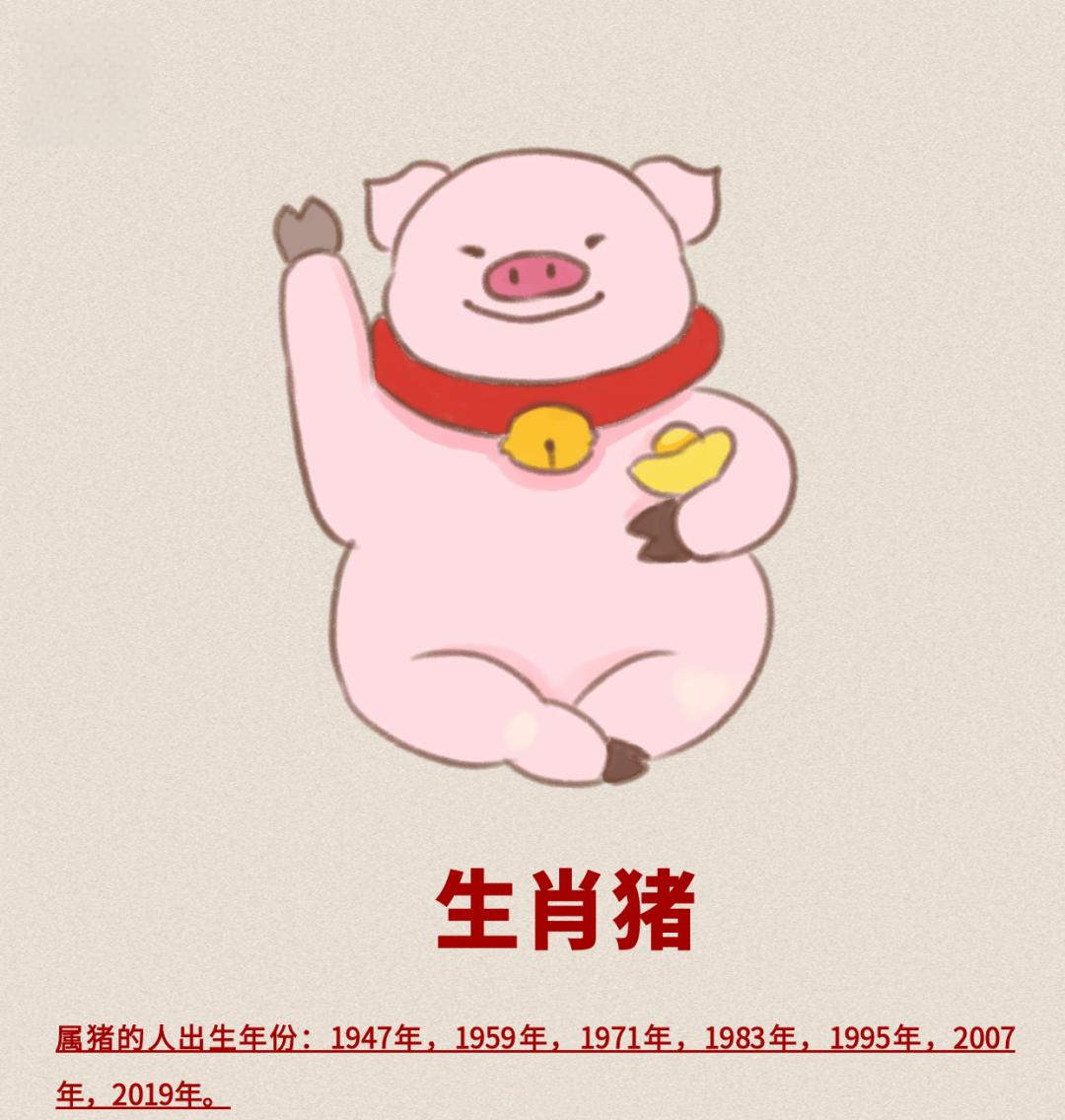 2026生肖猪运势(2026生肖猪运势如何)