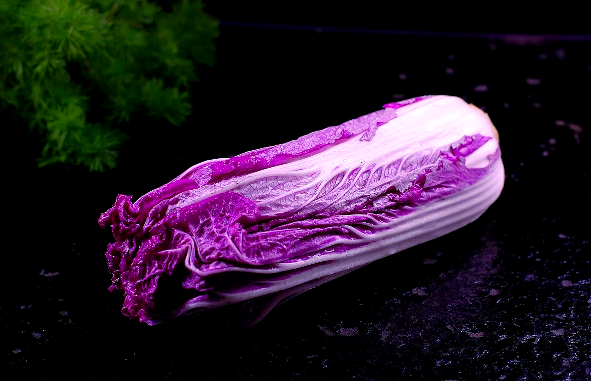 探秘不一样的紫色白菜:营养与口感双赢的新品种