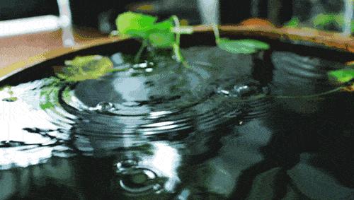 时间煮雨美束论坛的特点以及主题多样性介绍